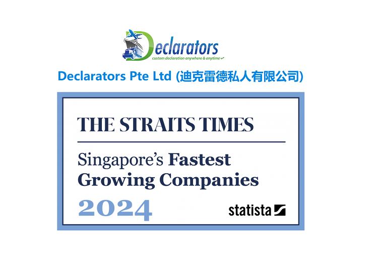 ST Fastest Growing Companies 2024 | Declarators